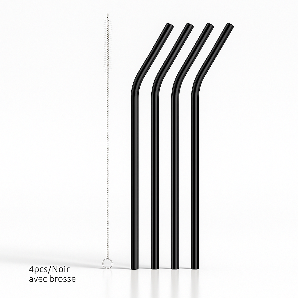 Lot de 4 Pailles Réutilisables en Acier Inoxydable – Shake Your Life